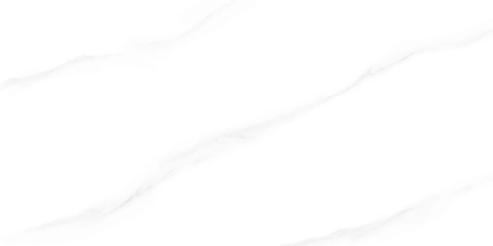 TP48001